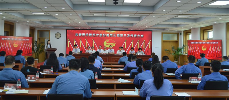 2共青團樂(lè )凱膠片第三次代表大會(huì )勝利召開(kāi)2022.6.6_副本_副本.jpg